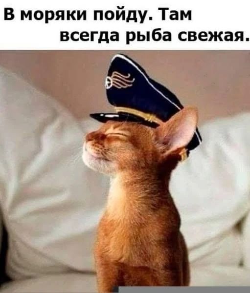 В моряки пойду. Там всегда рыба свежая.