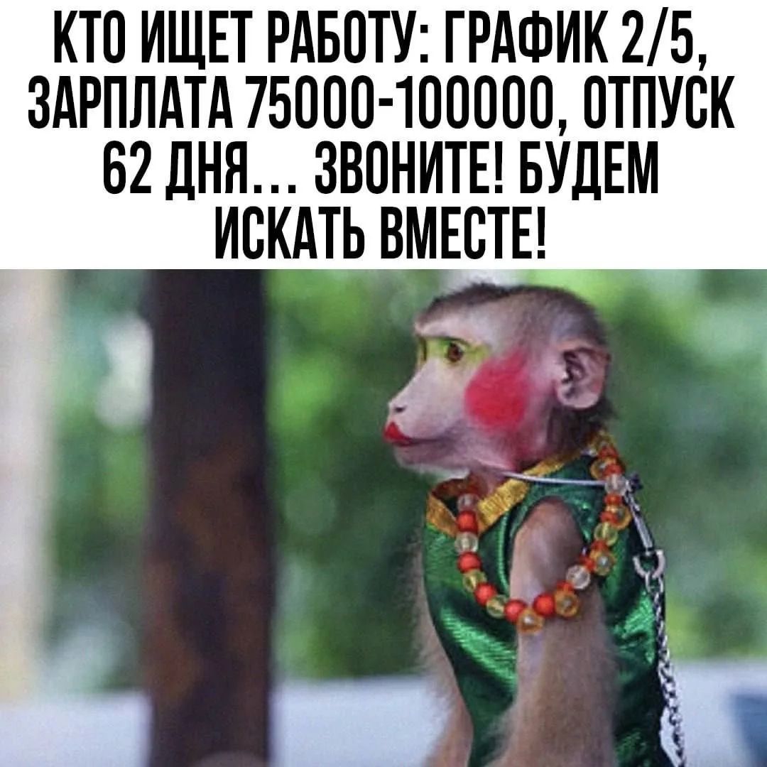 КТО ИЩЕТ РАБОТУ: ГРАФИК 2/5, ЗАРПЛАТА 75000-100000, ОТПУСК 62 ДНЯ... ЗВОНИТЕ! БУДЕМ ИСКАТЬ ВМЕСТЕ!