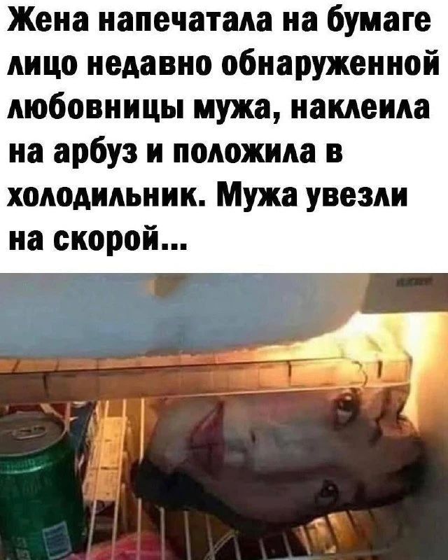 Жена напечатала на бумаге лицо недавно обнаруженной любовницы мужа, наклеила на арбуз и положила в холодильник. Мужа увезли на скорой...