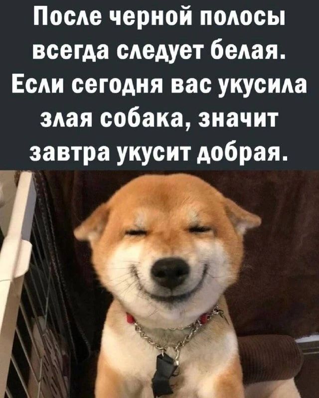 После черной полосы всегда следует белая. Если сегодня вас укусила злая собака, значит завтра укусит добрая.