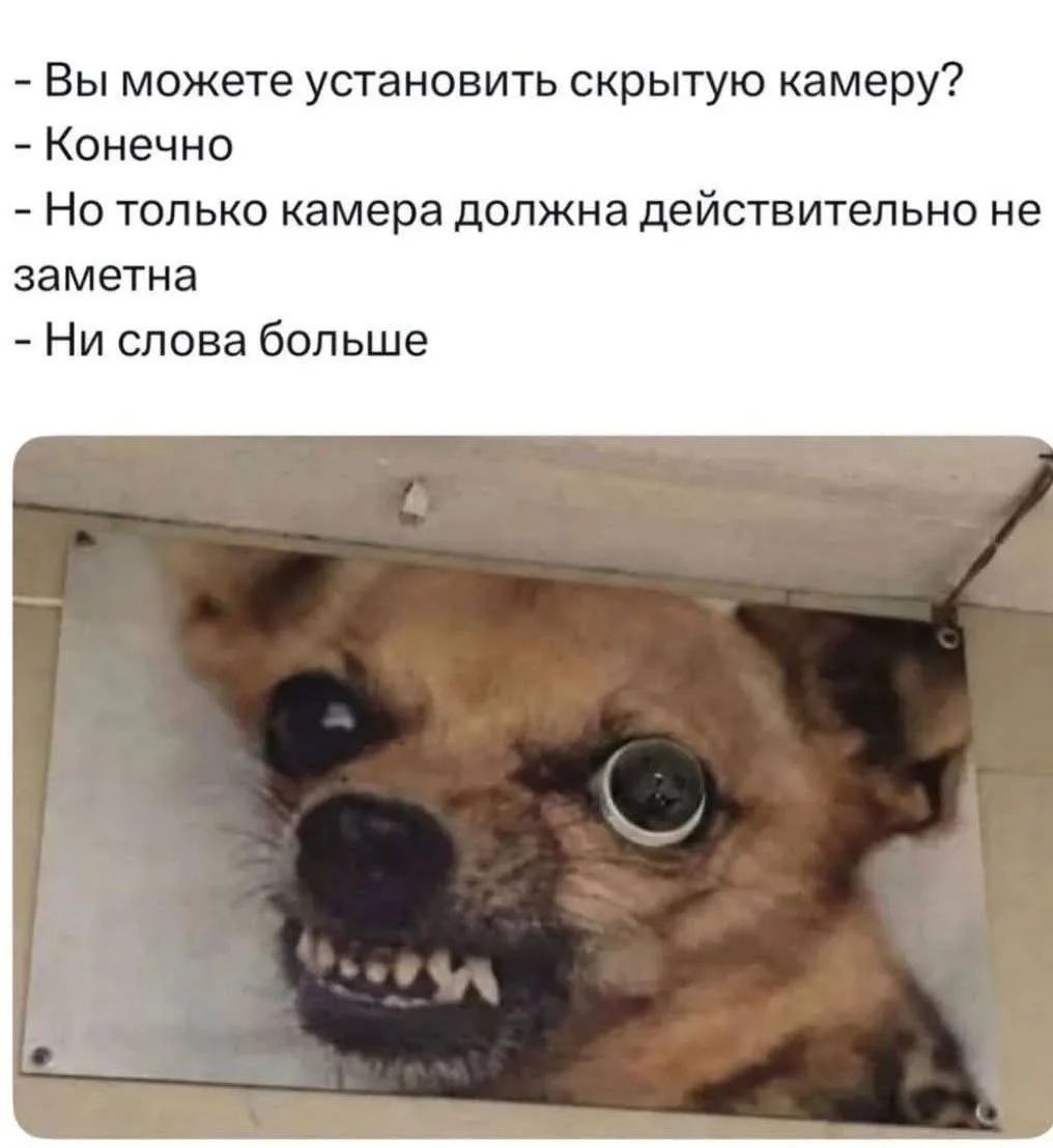 - Вы можете установить скрытую камеру?
- Конечно
- Но только камера должна действительно не заметна
- Ни слова больше
