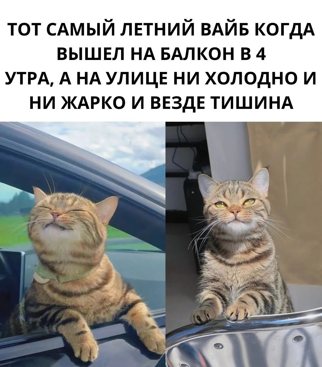 ТОТ САМЫЙ ЛЕТНИЙ ВАЙБ КОГДА ВЫШЕЛ НА БАЛКОН В 4 УТРА, А НА УЛИЦЕ НИ ХОЛОДНО И НИ ЖАРКО И ВЕЗДЕ ТИШИНА