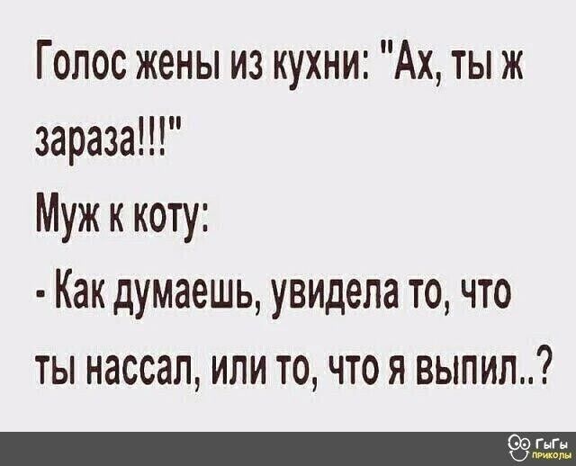 Голос жены из кухни: 