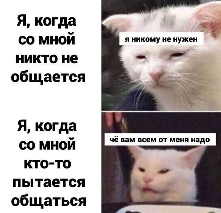 Я, когда со мной никто не общается я никому не нужен Я, когда со мной кто-то пытается общаться чё вам всем от меня надо
