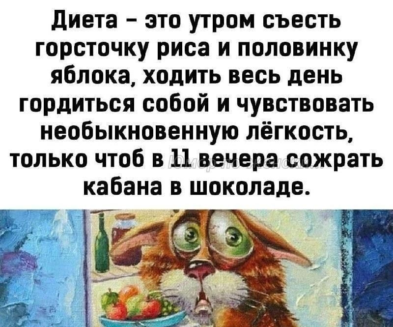Диета – это утром съесть горсточку риса и половинку яблока, ходить весь день гордиться собой и чувствовать необыкновенную лёгкость, только чтоб в 11 вечера сожрать кабана в шоколаде.