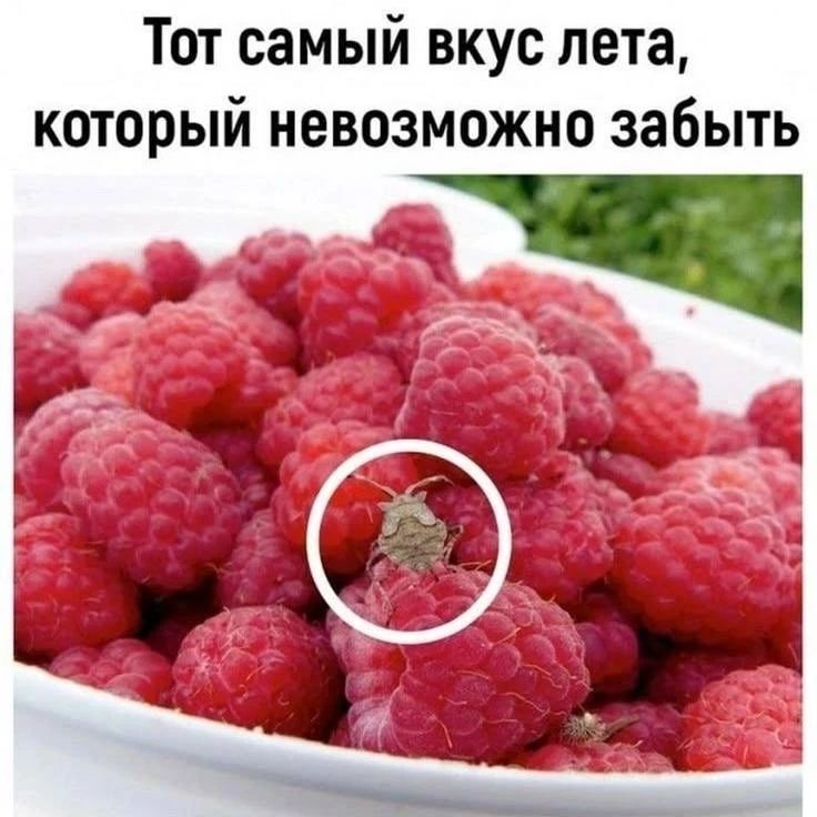 Тот самый вкус лета, который невозможно забыть