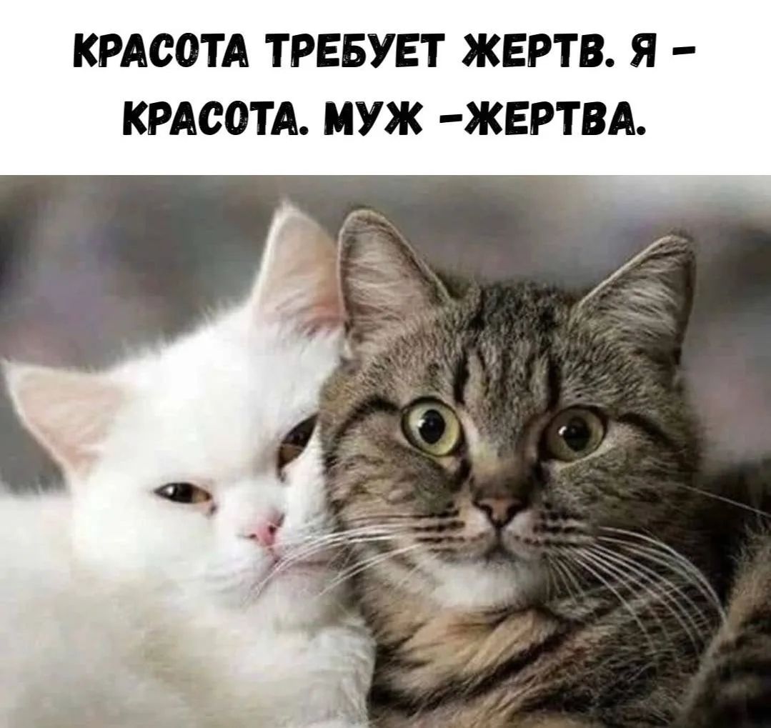 КРАСОТА ТРЕБУЕТ ЖЕРТВ. Я – КРАСОТА. МУЖ – ЖЕРТВА.