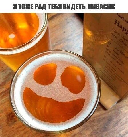 Я ТОЖЕ РАД ТЕБЯ ВИДЕТЬ, ПИВАСИК