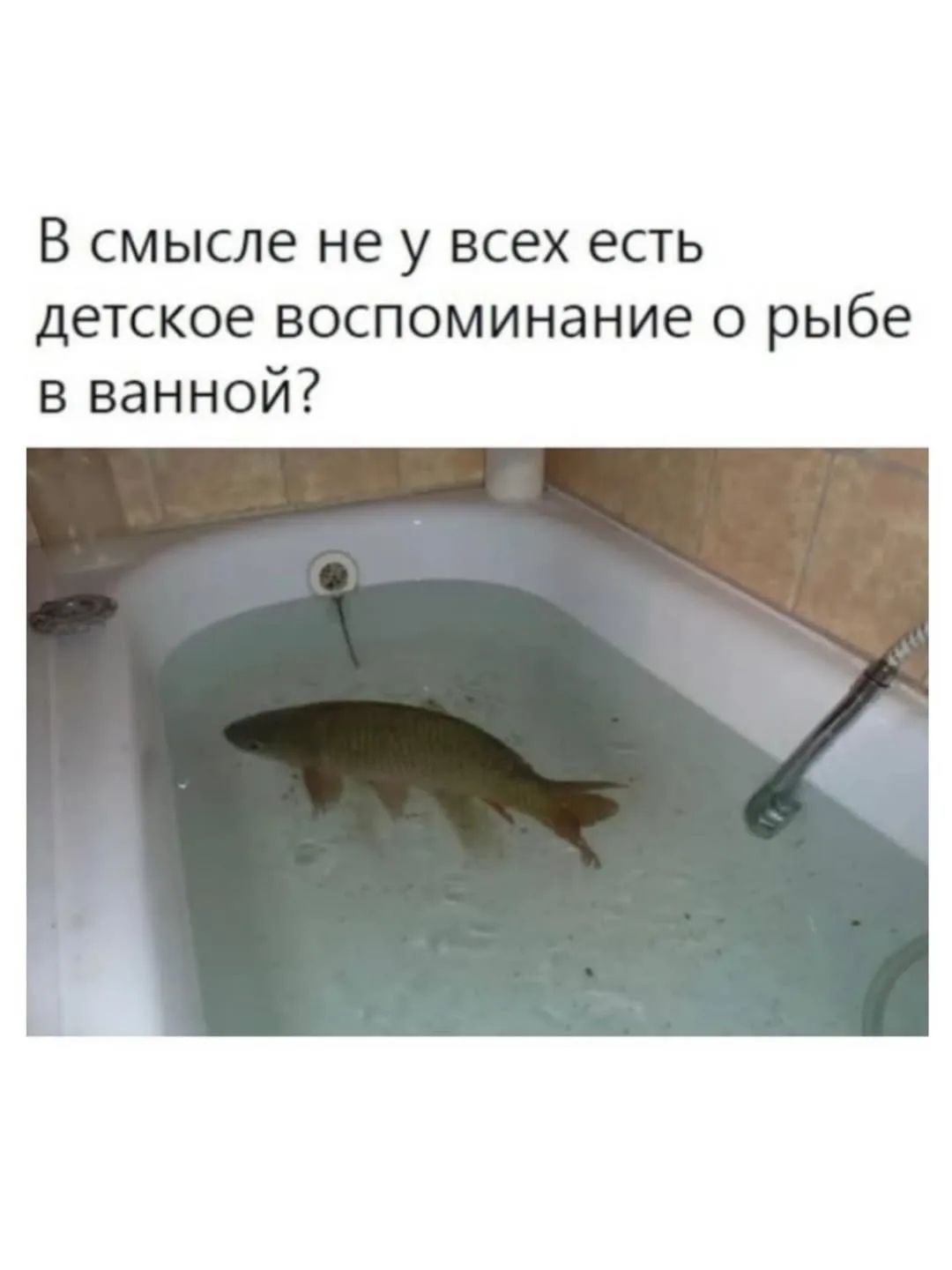 В смысле не у всех есть детское воспоминание о рыбе в ванной?