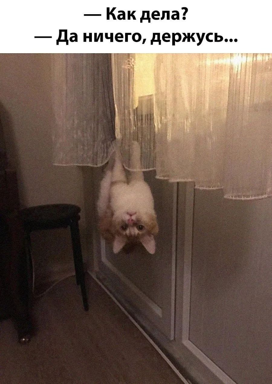 — Как дела?
— Да ничего, держусь...