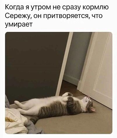 Когда я утром не сразу кормлю Сережу, он притворяется, что умирает