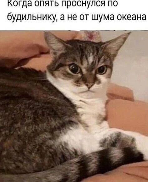 Когда опять проснулся по будильнику, а не от шума океана