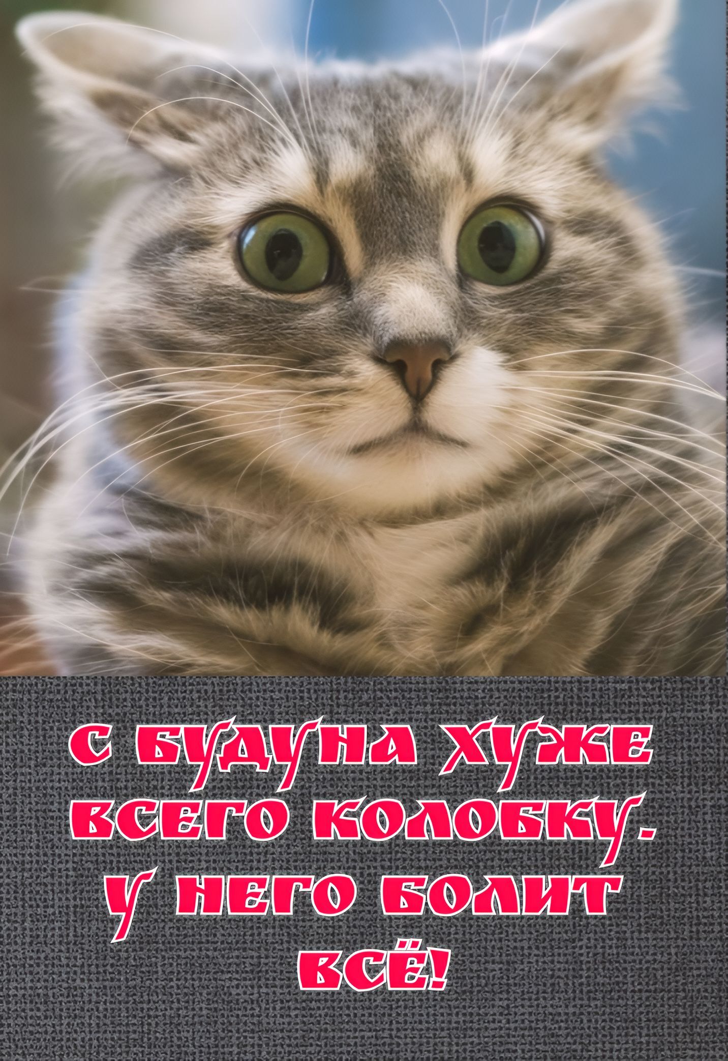 С БУДУНА ХУЖЕ ВСЕГО КОЛОБКУ. У НЕГО БОЛИТ ВСЁ!