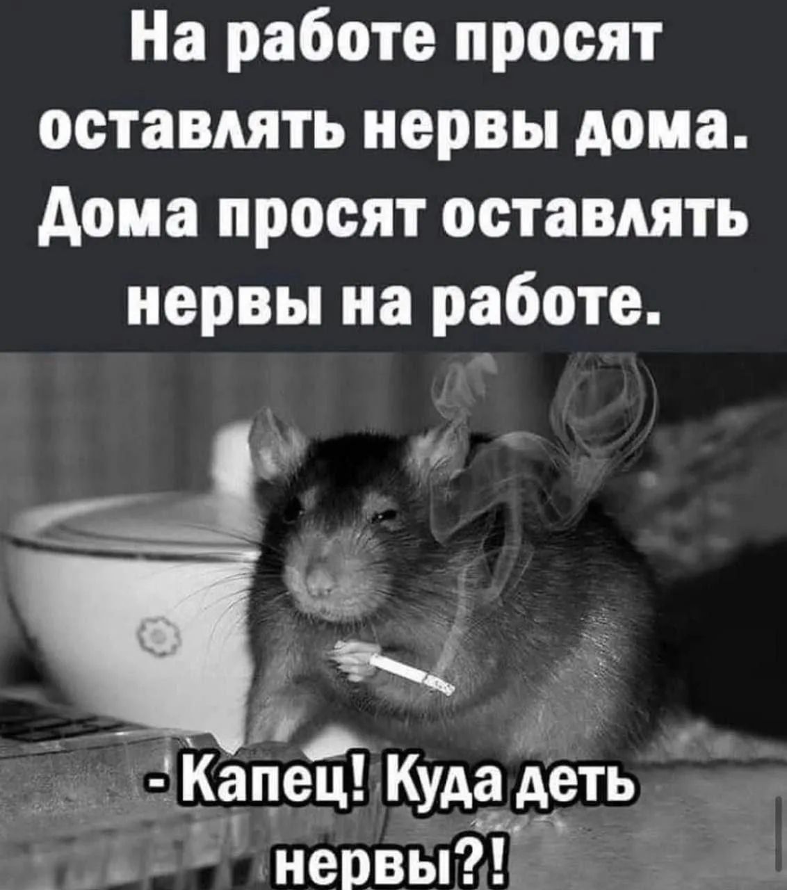 На работе просят оставлять нервы дома. Дома просят оставлять нервы на работе. - Капец! Куда деть нервы?!