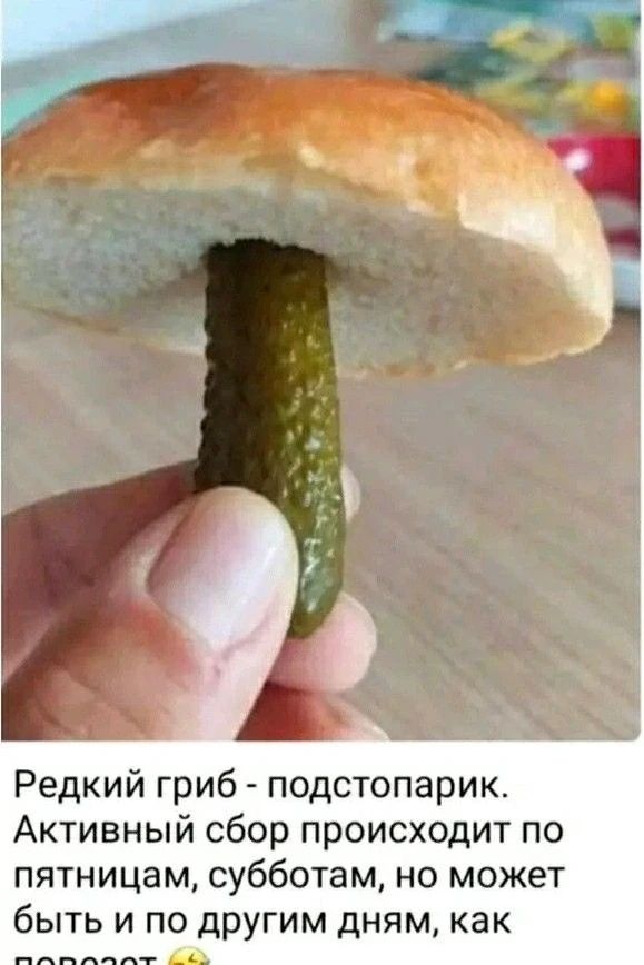 Редкий гриб - подстопарик. Активный сбор происходит по пятницам, субботам, но может быть и по другим дням, как повезет.