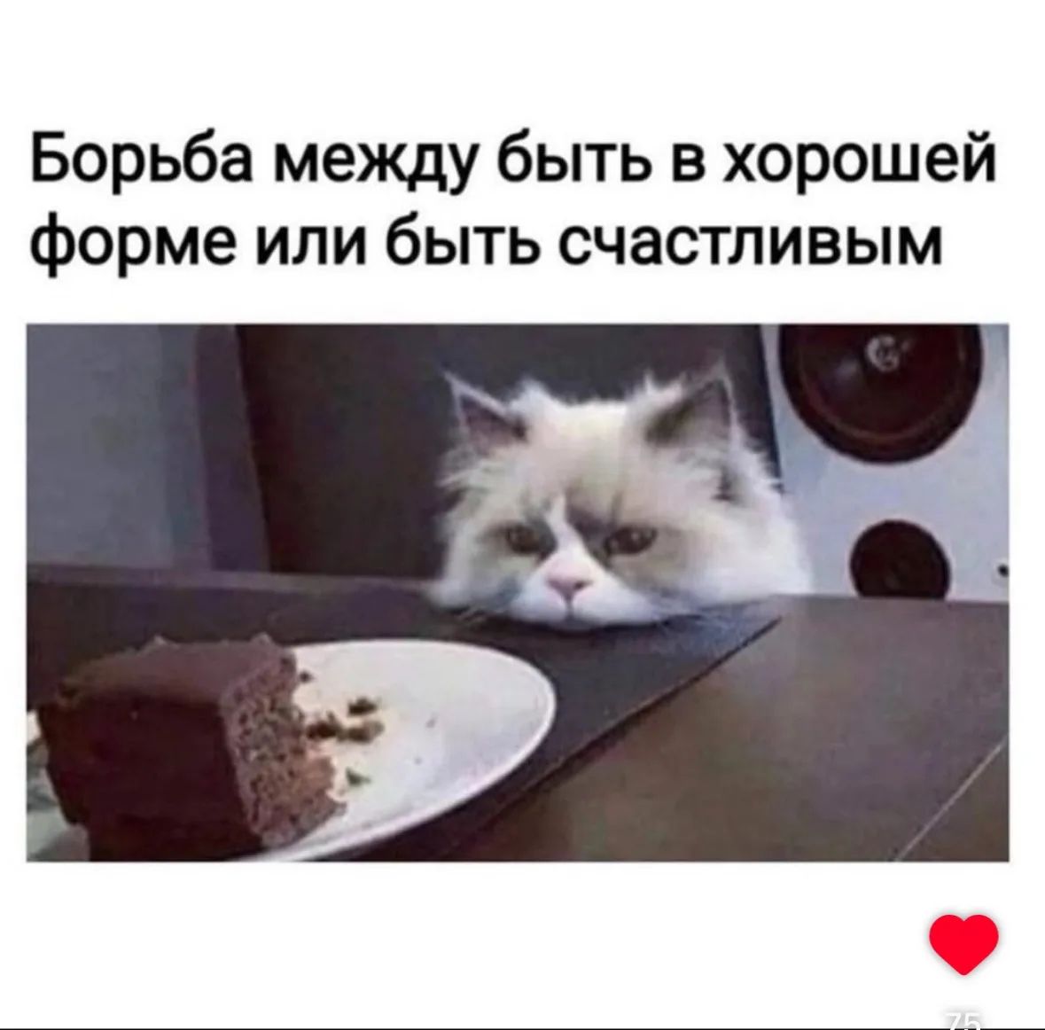 Борьба между быть в хорошей форме или быть счастливым