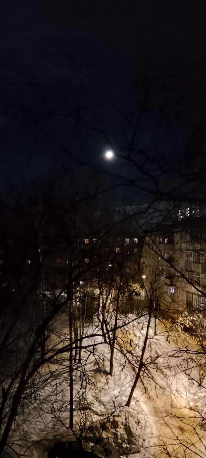 ночной город под луной над снегом, деревья и здания