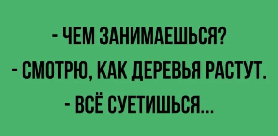 - ЧЕМ ЗАНИМАЕШЬСЯ?
- СМОТРЮ, КАК ДЕРЕВЬЯ РАСТУТ.
- ВСЁ СУЕТИШЬСЯ...