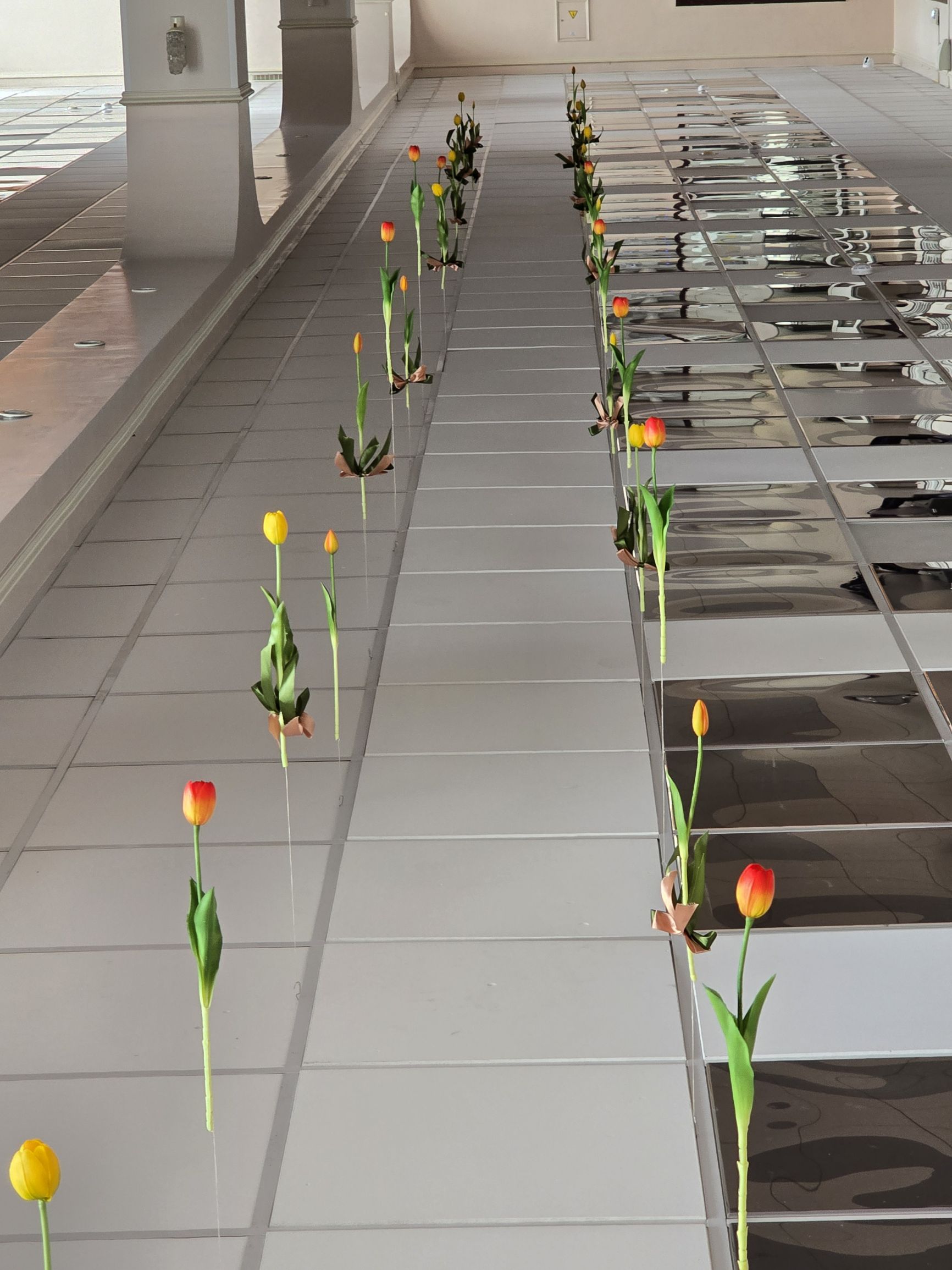 Линии тюльпанов вдоль зеркальной поверхности в галерее.
