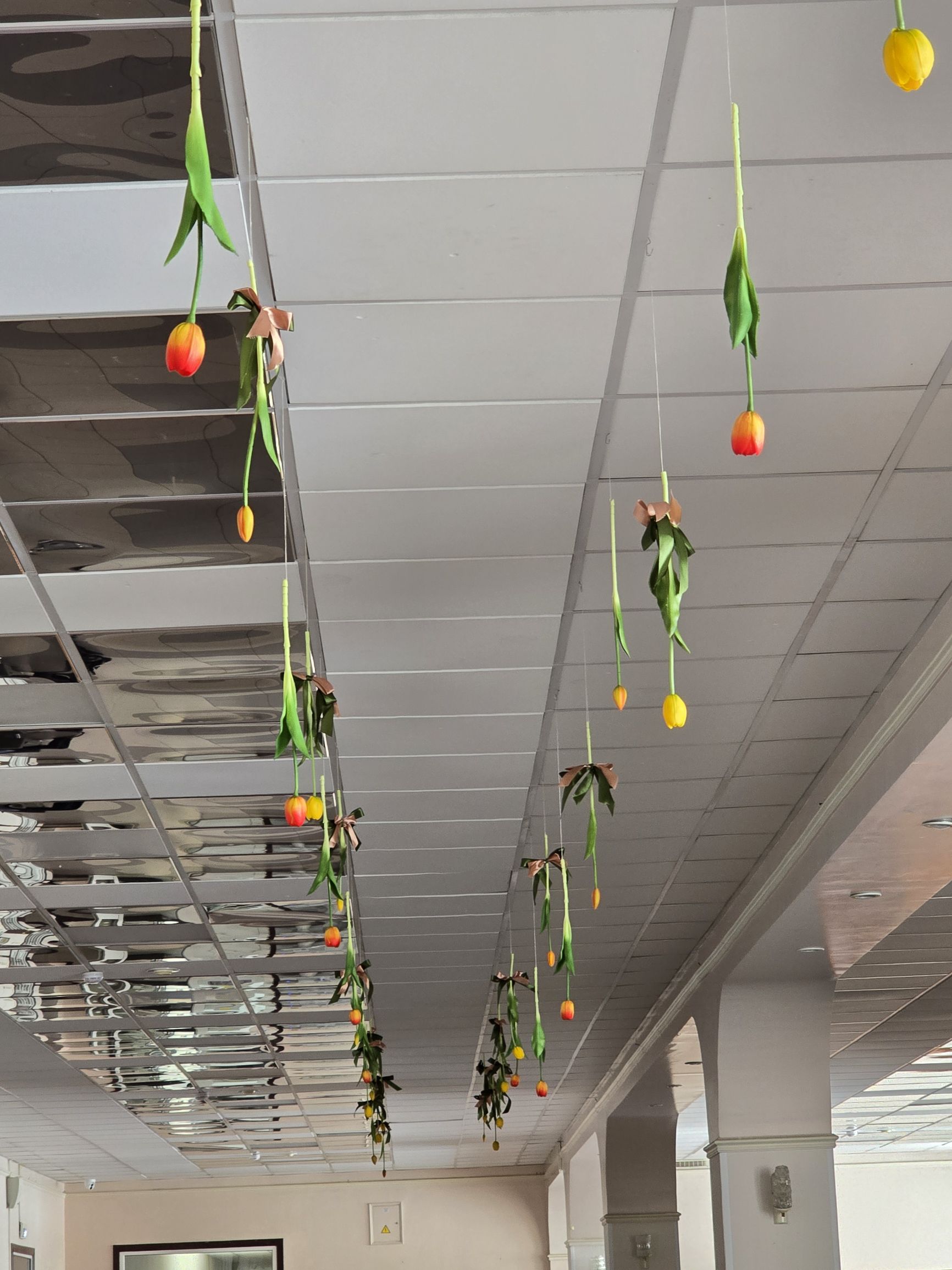 Развешанные цветы на верёвках под потолком в интерьере.