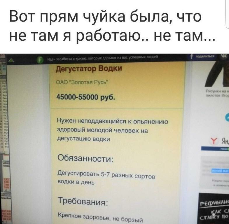 Вот прям чуйка была что не там я работаю не там ВАО Золотая Русь 45000 55000 руб Нужен неподдающийся к опьянению здоровый молодой человек на дегустацию ВОДКИ Обязанности Дегустировать 57 разниц гпртпп водки в день Требования Крепкое здоровье не борзыи дмн иг