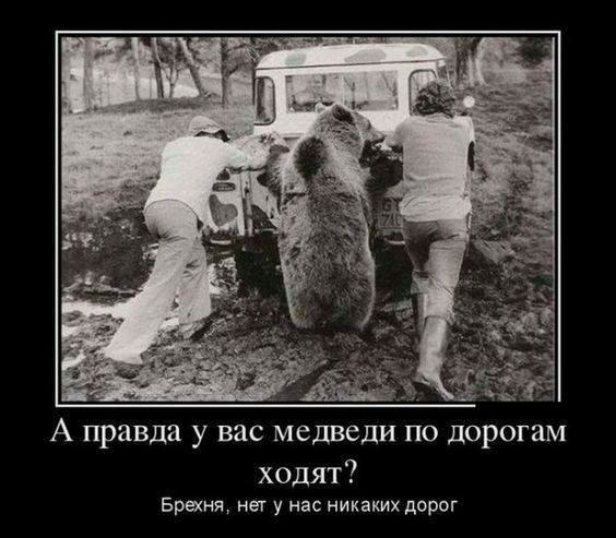 А правда у вас медведи по дорогам ходят Братц нет у нас никаких дорог