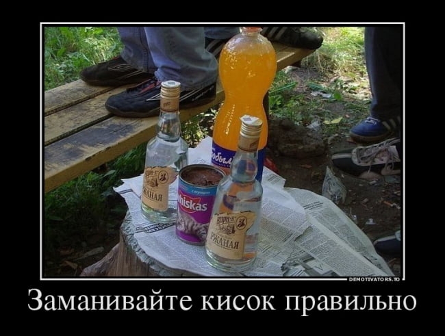 Заманивайте кисок правильно