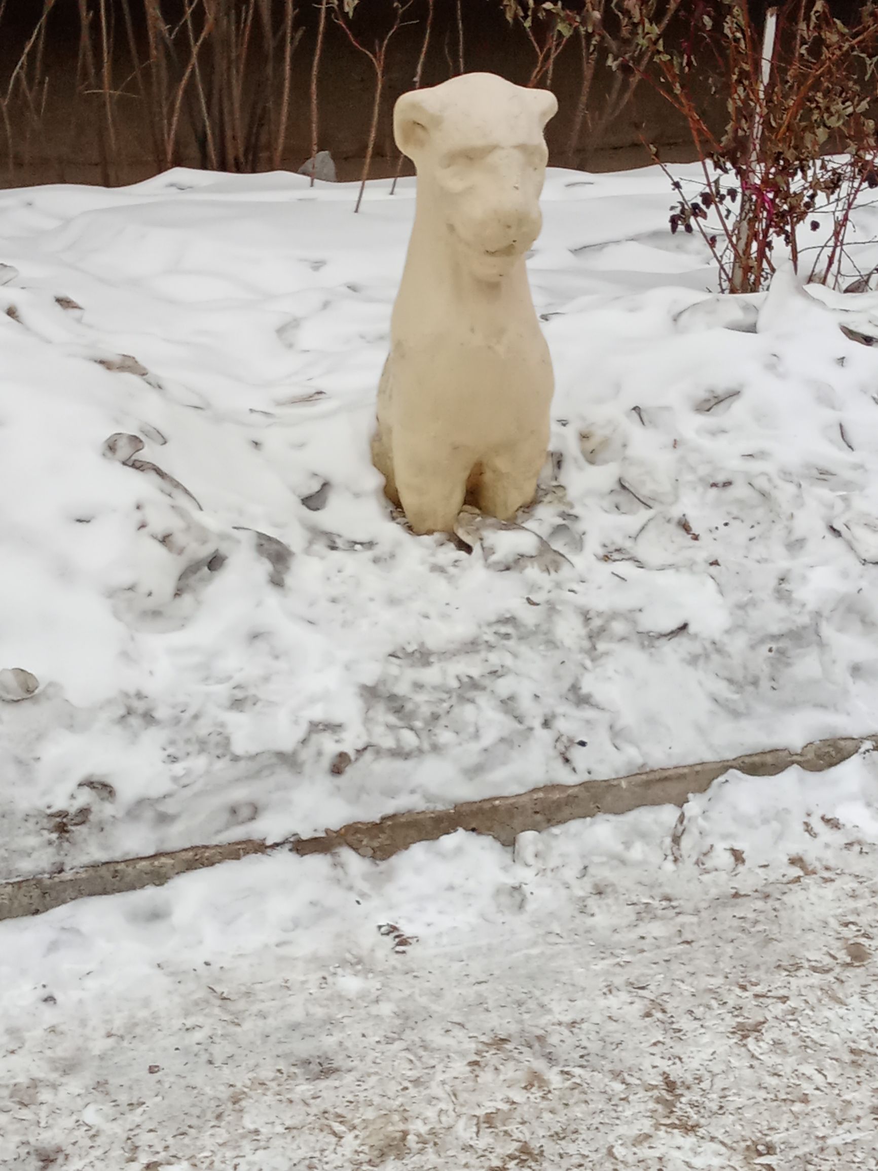 Собачья фигурка из снега на заснеженном дворе