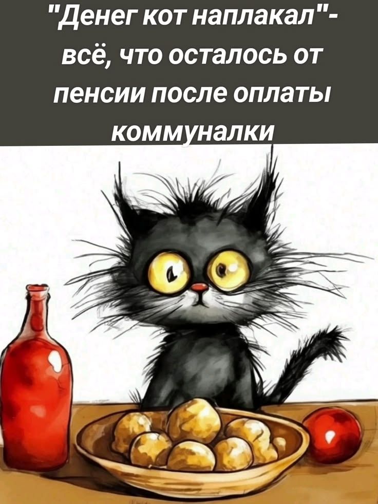 Денег кот наплакал - всё, что осталось от пенсии после оплаты коммуналки