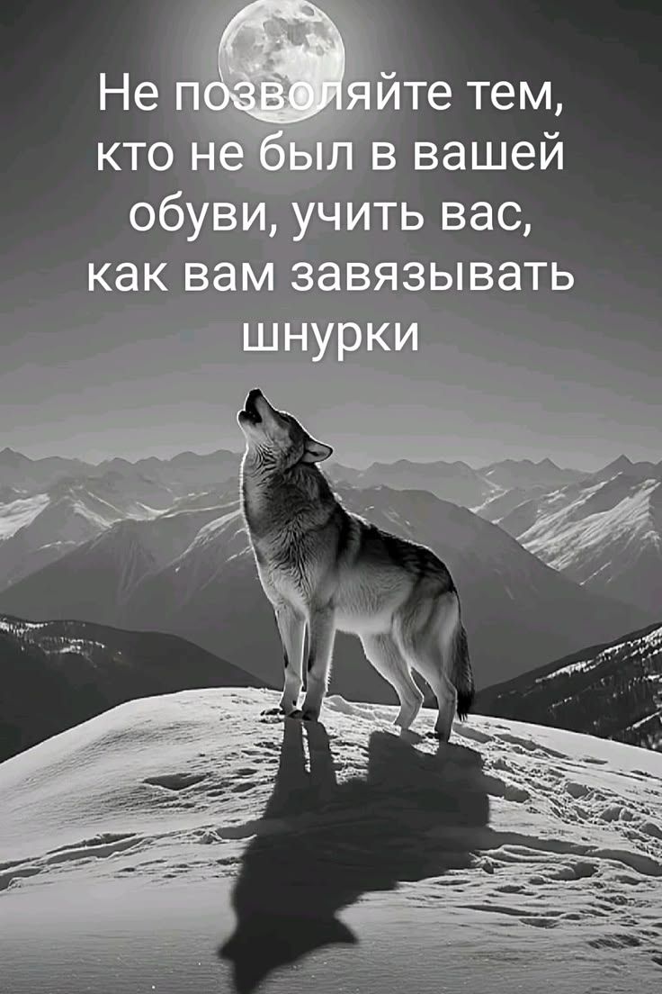 Не позволяйте тем, кто не был в вашей обуви, учить вас, как вам завязывать шнурки