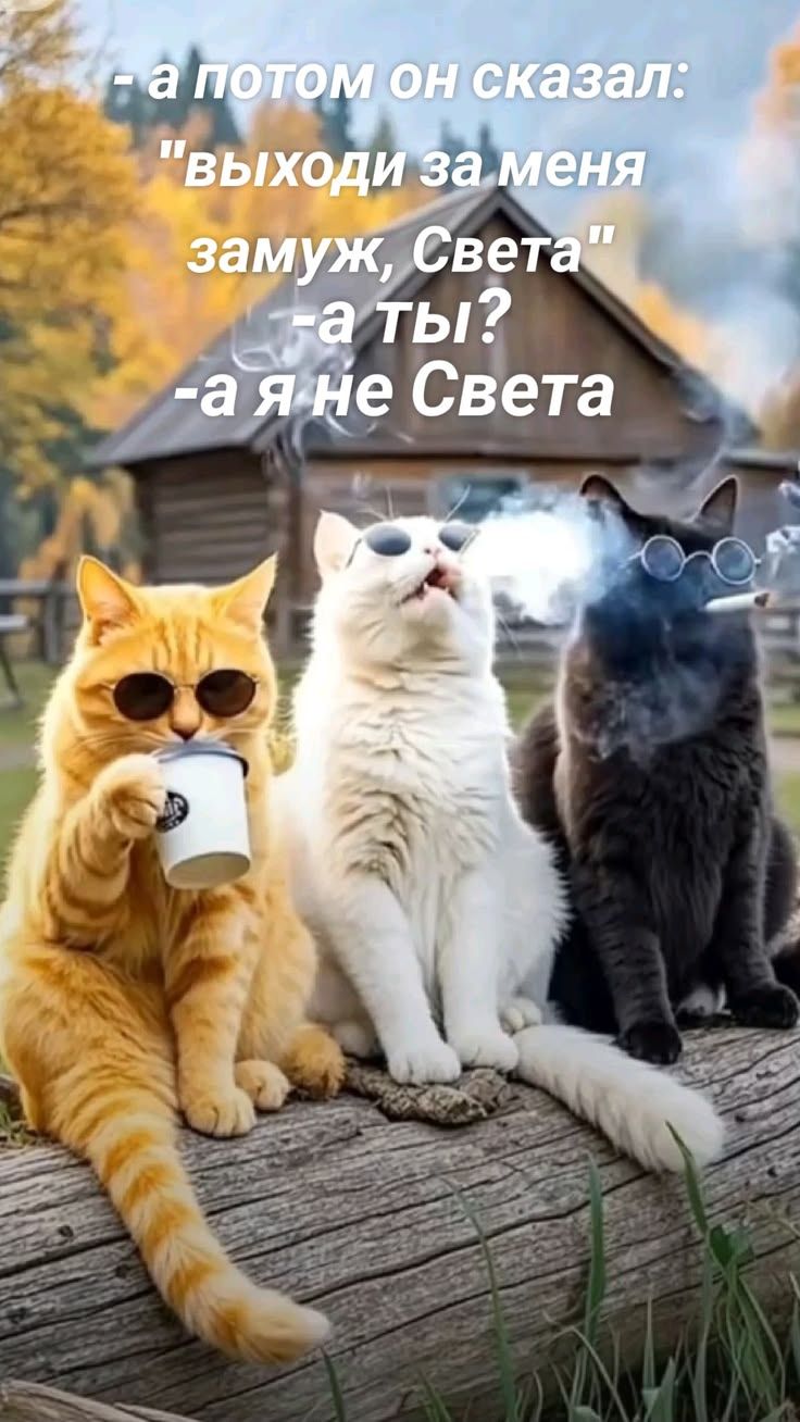 - а потом он сказал: 