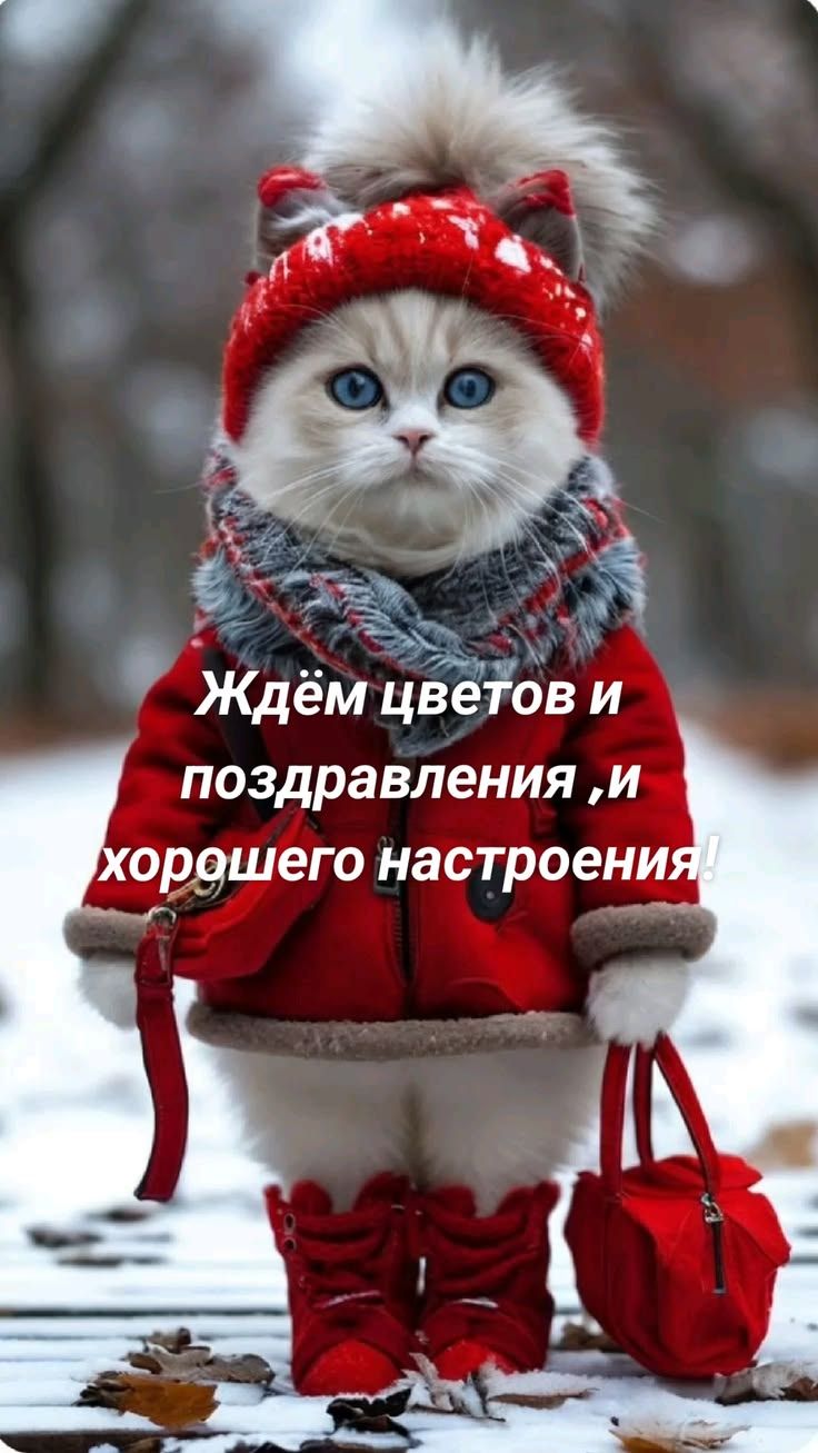 Ждём цветов и поздравления, и хорошего настроения!