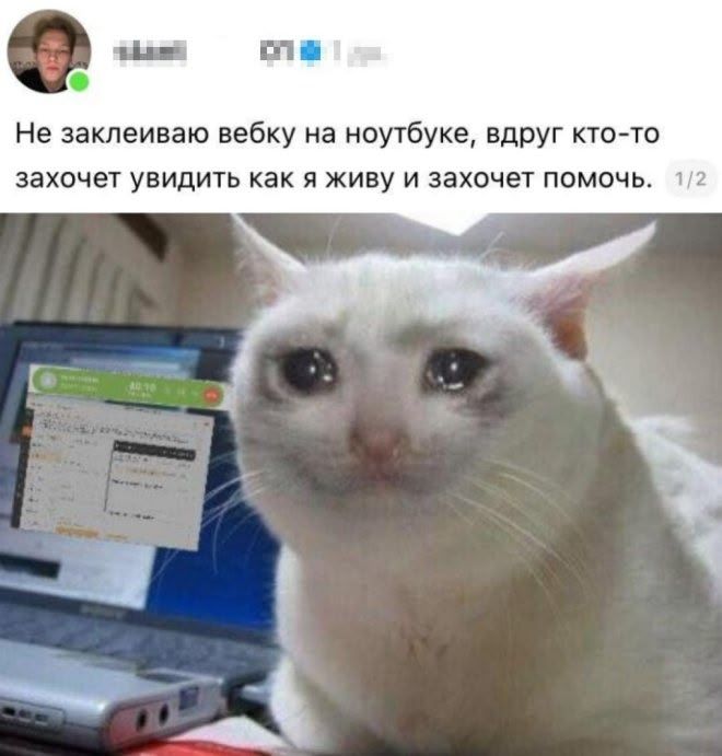 Не заклеиваю вебку на ноутбуке, вдруг кто-то захочет увидеть как я живу и захочет помочь.