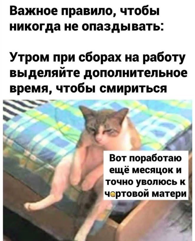 Важное правило, чтобы никогда не опаздывать:
Утром при сборах на работу выделяйте дополнительное время, чтобы смириться
Вот поработаю ещё месяцок и точно уволюсь к чертовой матери