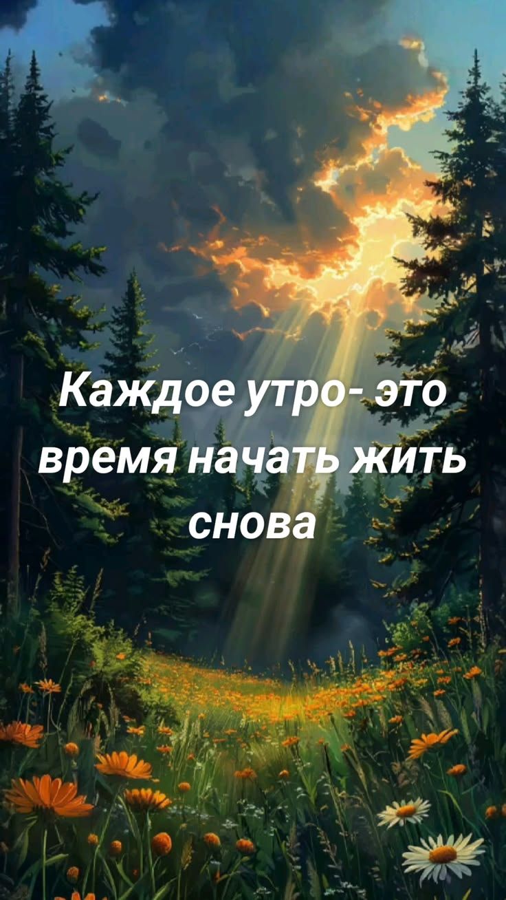 Каждое утро- это время начать жить снова