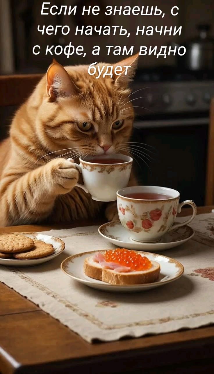 Если не знаешь, с чего начать, начни с кофе, а там видно будет