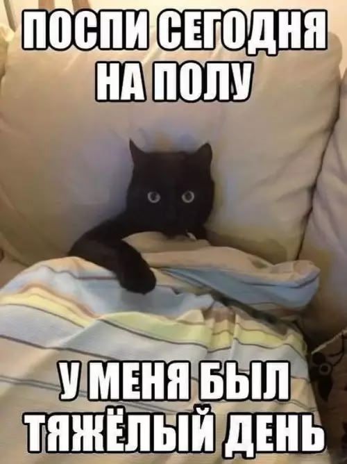 ПОСПИ СЕГОДНЯ НА ПОЛУ У МЕНЯ БЫЛ ТЯЖЁЛЫЙ ДЕНЬ