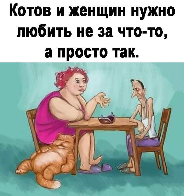 Котов и женщин нужно любить не за что-то, а просто так.