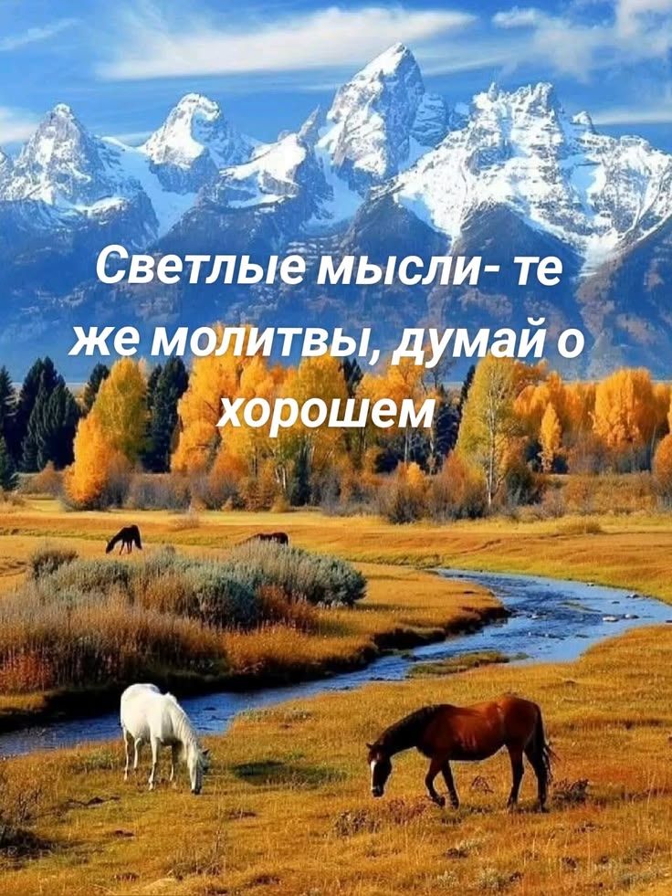 Светлые мысли- те же молитвы, думай о хорошем