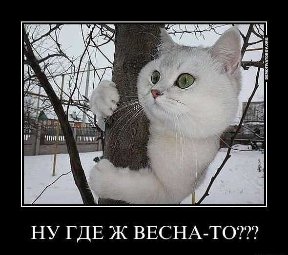 НУ ГДЕ Ж ВЕСНА-ТО???
