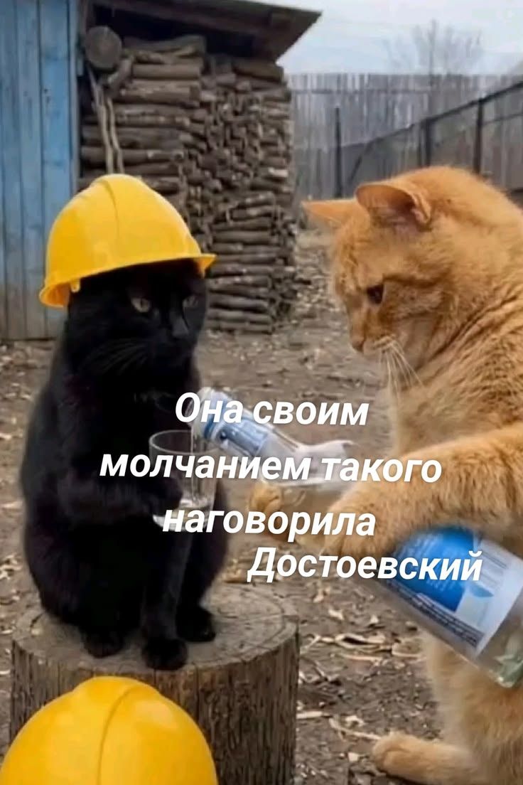 Она своим молчанием такого наговорила Достоевский