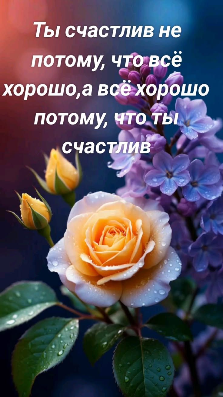 Ты счастлив не потому, что всё хорошо, а всё хорошо потому, что ты счастлив