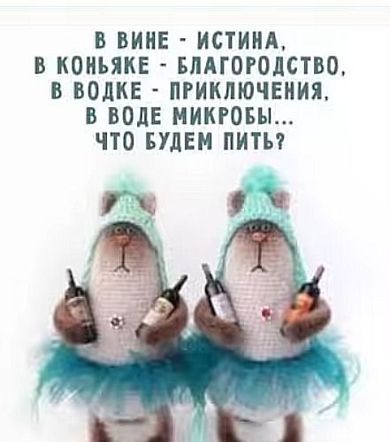 В вине - истина, в коньяке - благородство, в водке - приключения, в воде микробы... Что будем пить?