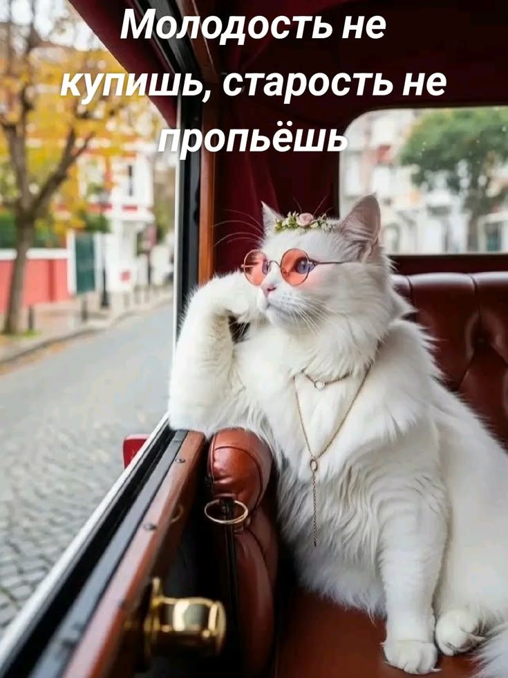 Молодость не купишь, старость не пропьёшь