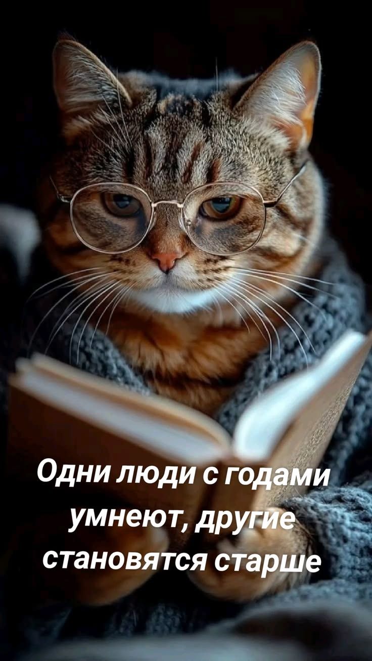 Одни люди с годами умнеют, другие становятся старше