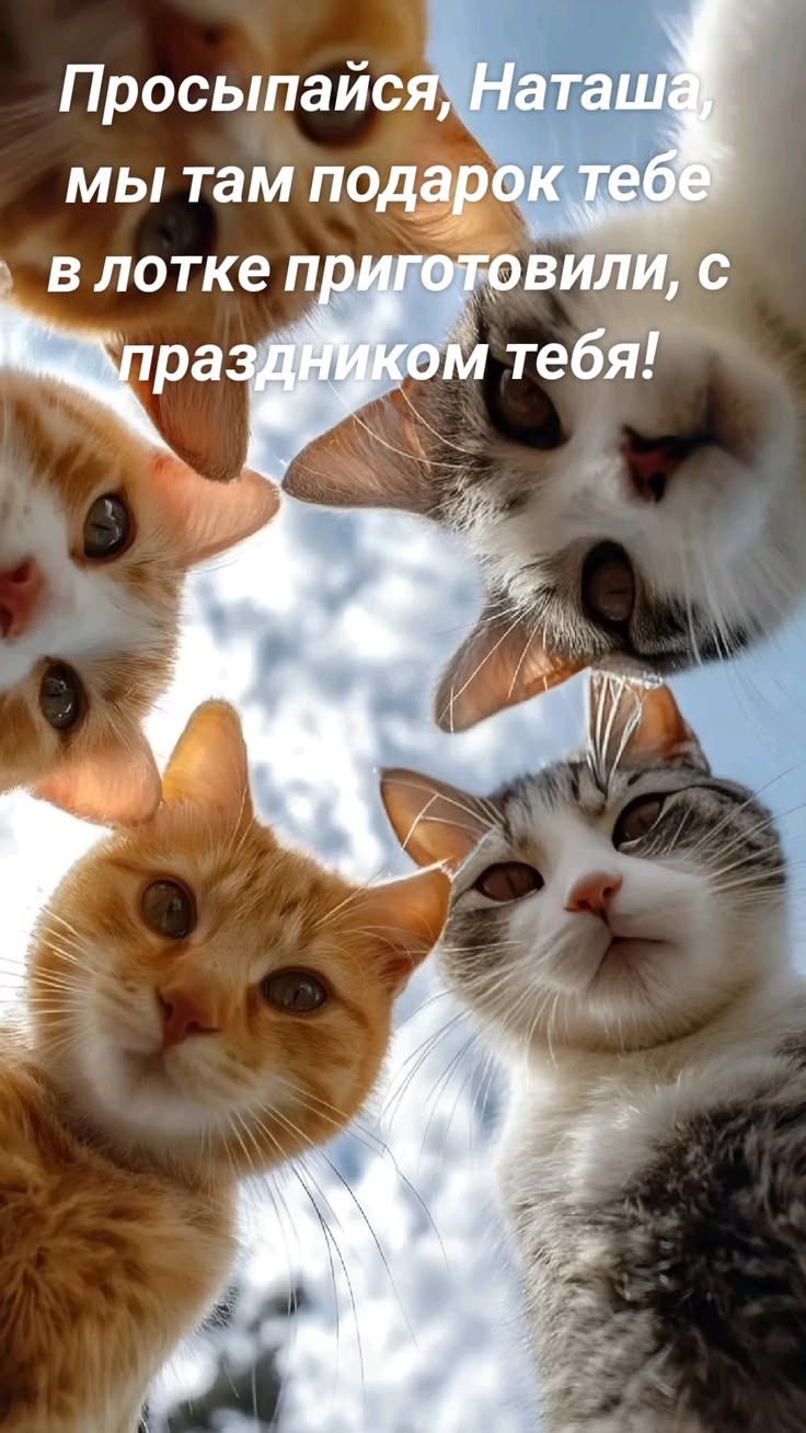 Просыпайся, Наташа, мы там подарок тебе в лотке приготовили, с праздником тебя!