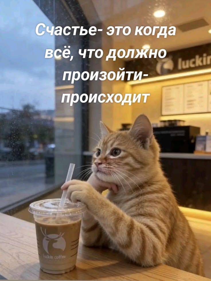 Счастье - это когда всё, что должно произойти - происходит