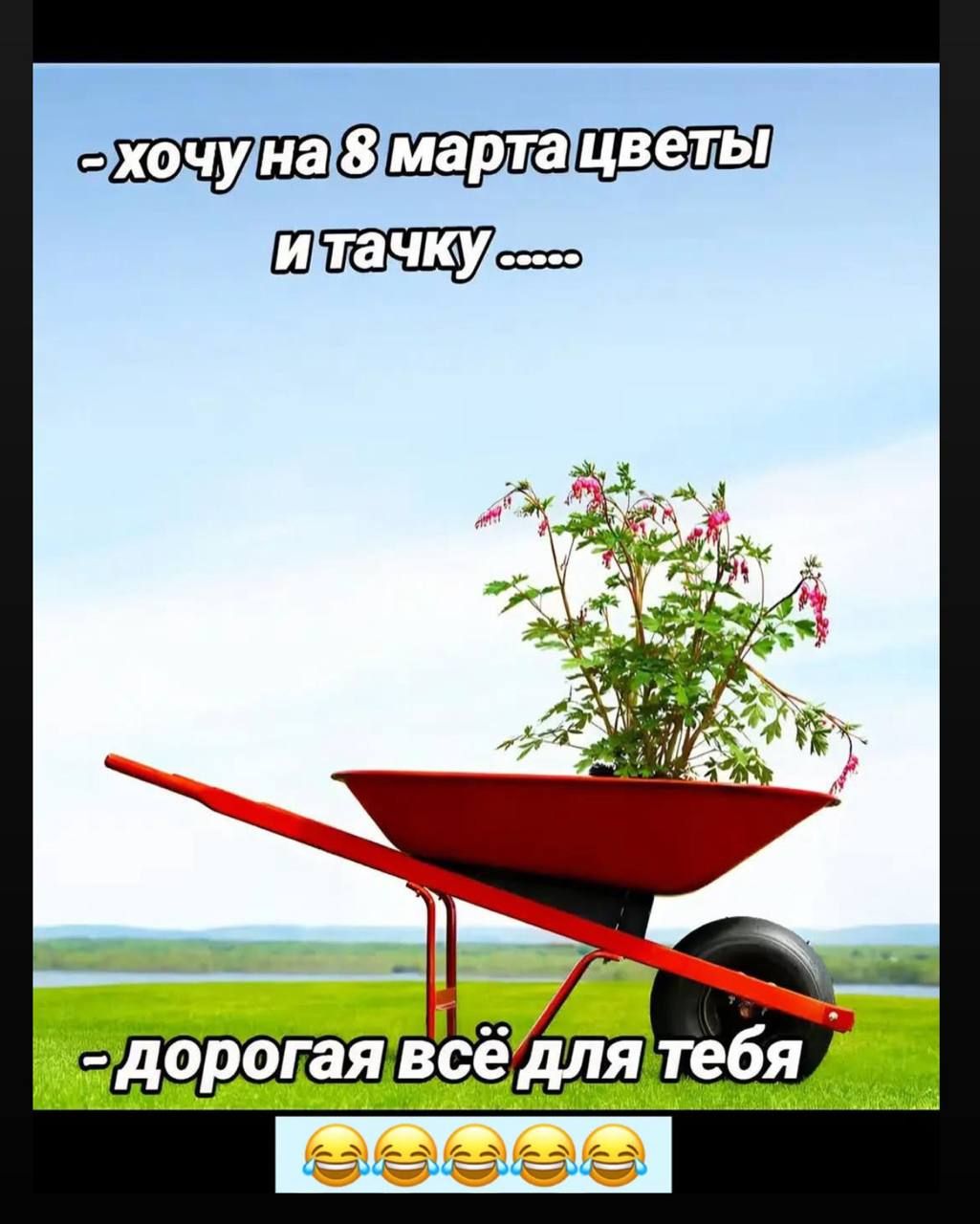 - хочу на 8 марта цветы и тачку ....
- дорогая всё для тебя 😂😂😂