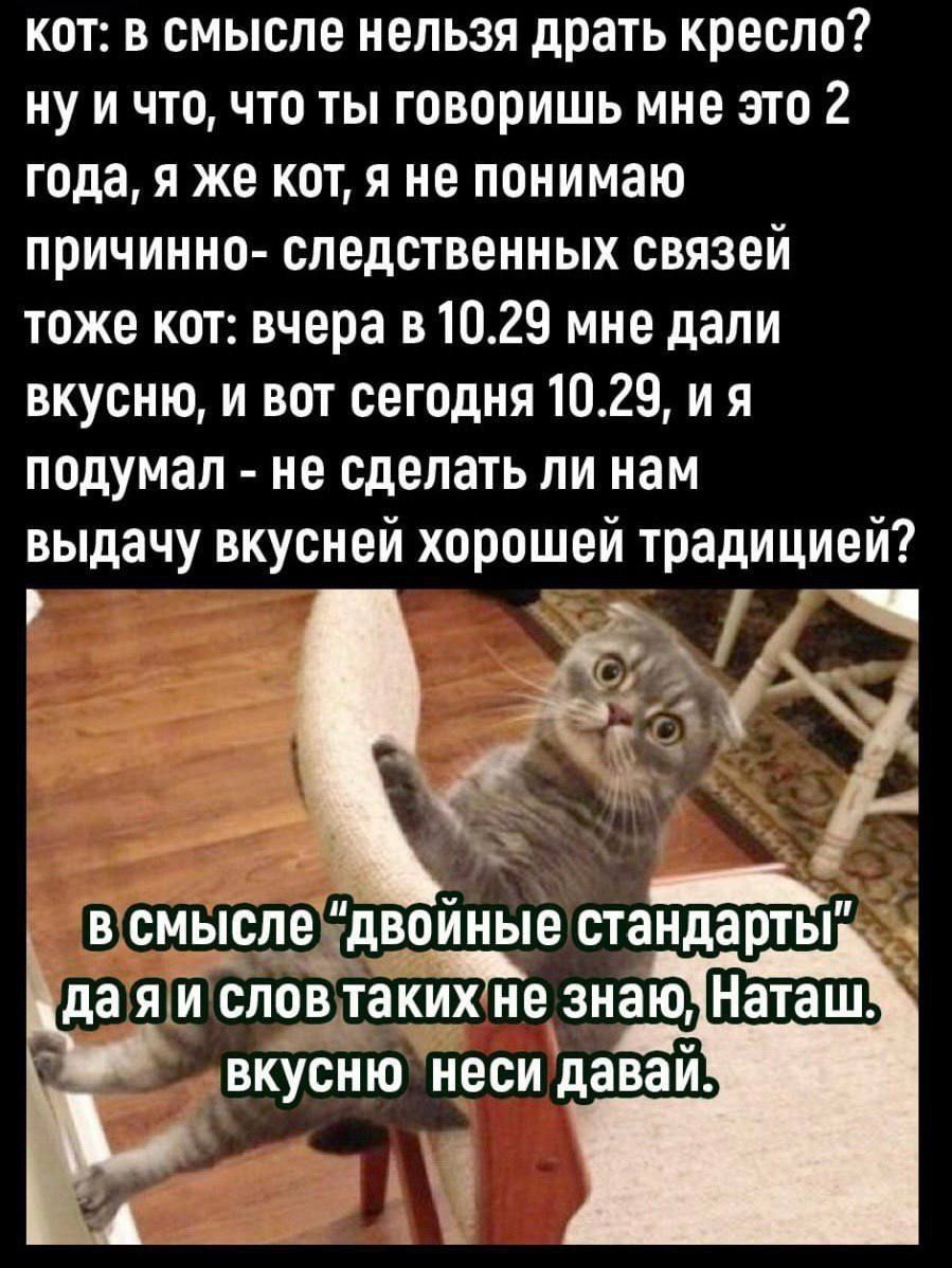 Кот: В смысле нельзя драть кресло? Ну и что, что ты говоришь мне это 2 года, я же кот, я не понимаю причинно-следственных связей. Тоже кот: вчера в 10.29 мне дали вкусную, и вот сегодня 10.29, и я подумал - не сделать ли нам выдачу вкусной хорошей традицией? В смысле «двойные стандарты» да я и слов таких не знаю, Наташ, вкусную неси давай.