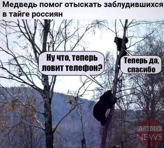 Медведь помог отыскать заблудившихся в тайге россиян. Ну что, теперь повит телефон? Теперь да, спасибо